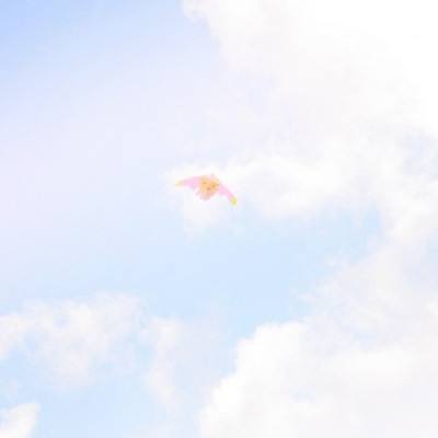 梦幻天竺果盘手游下载